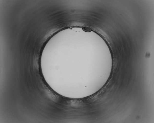 X0000101680345200808071114