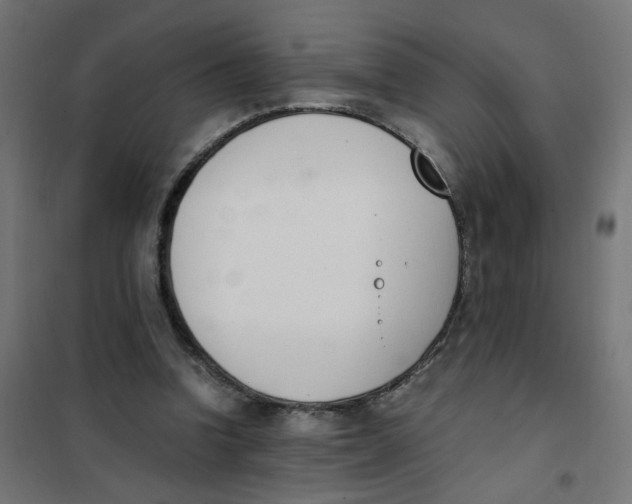 X0000101680346200808071114