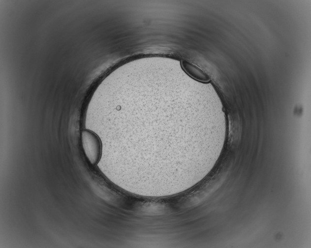 X0000101680348200808071114
