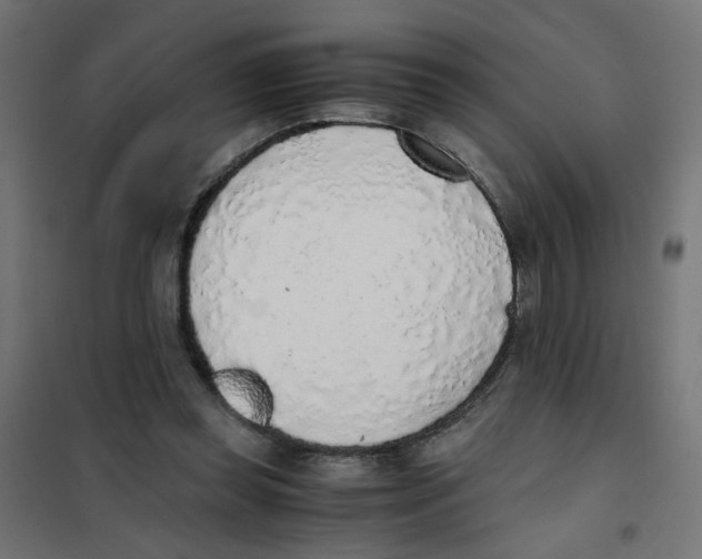 X0000101680349200808071114