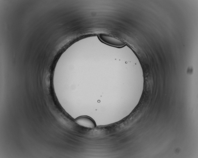 X0000101680350200808071114