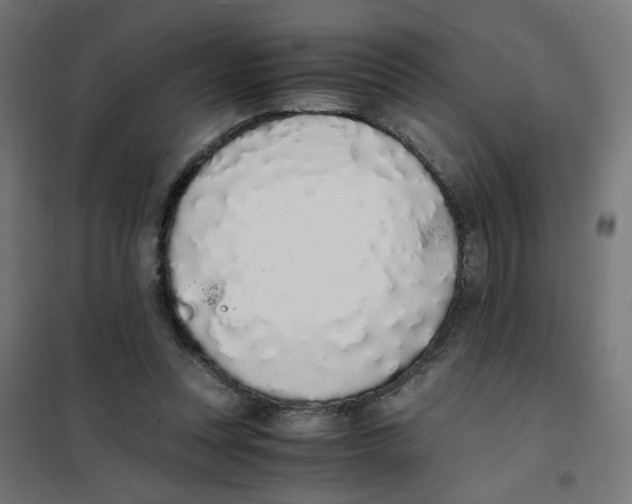 X0000101680351200808071114