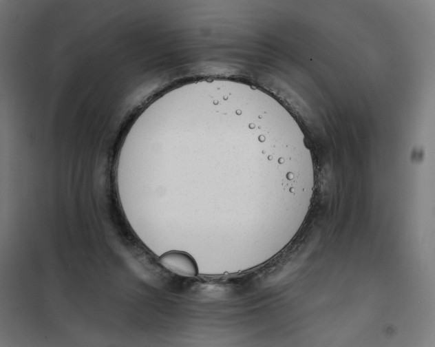 X0000101680352200808071114