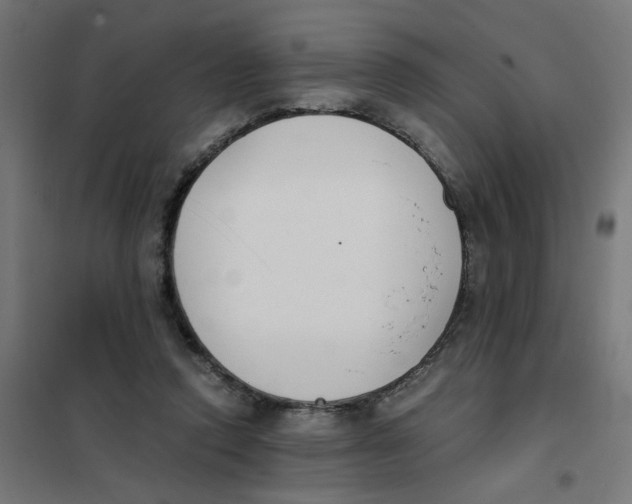 X0000101680354200808071114