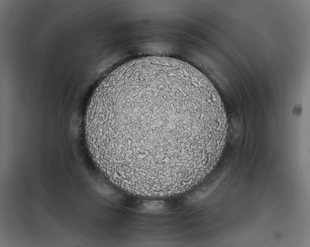 X0000101680355200808071114