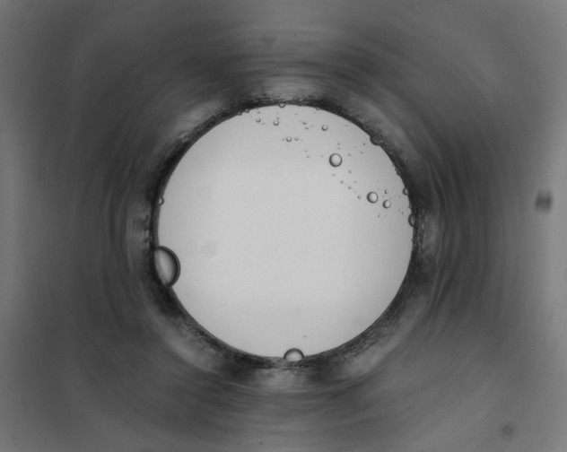 X0000101680356200808071114
