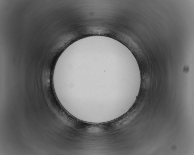 X0000101680358200808071114