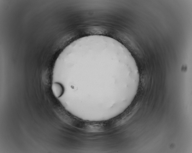 X0000101680359200808071114
