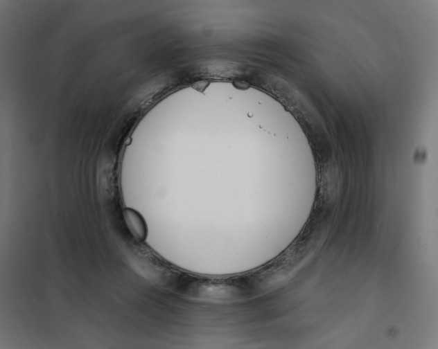 X0000101680360200808071114