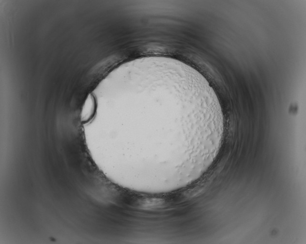 X0000101680361200808071114