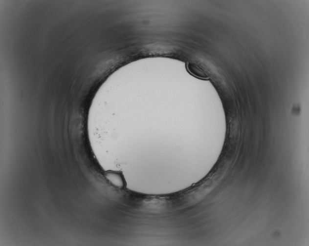 X0000101680362200808071114