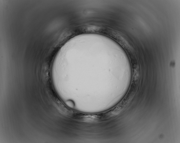 X0000101680363200808071115