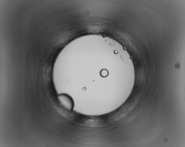 X0000101680364200808071115