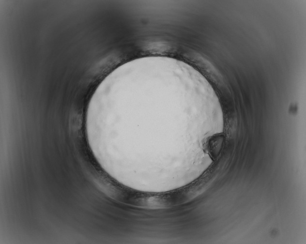 X0000101680365200808071115