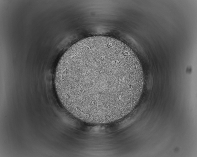 X0000101680366200808071115