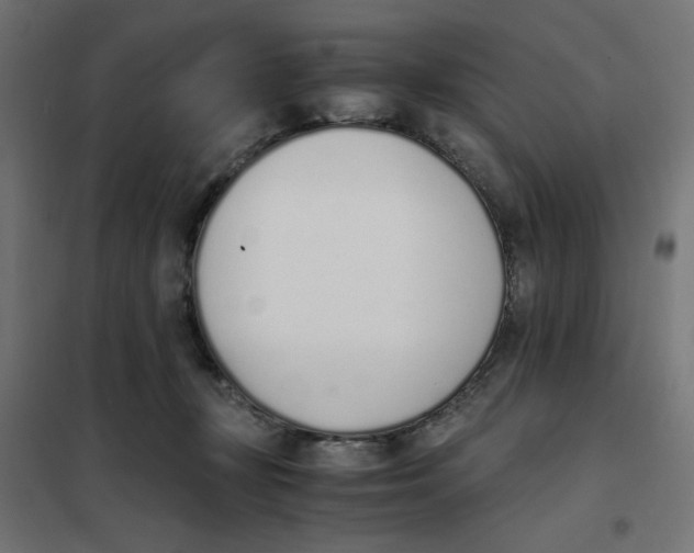 X0000101680367200808071115