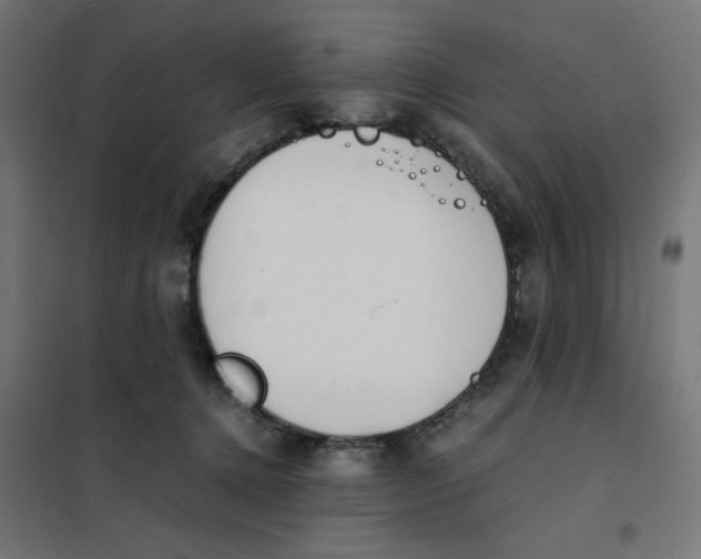 X0000101680368200808071115