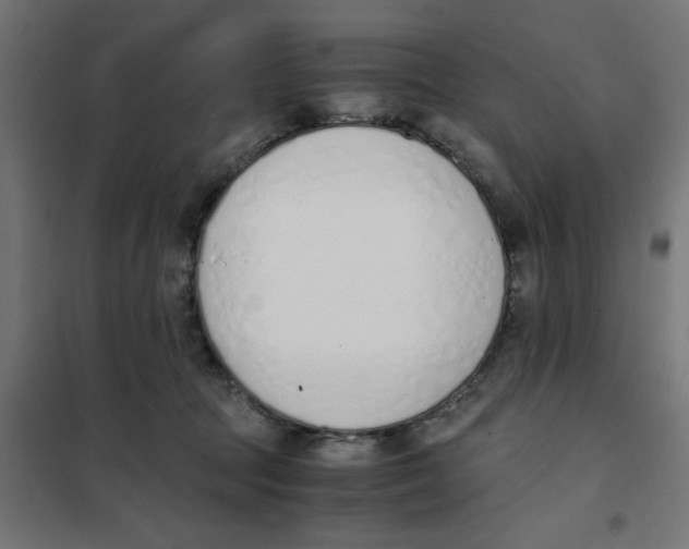X0000101680369200808071115