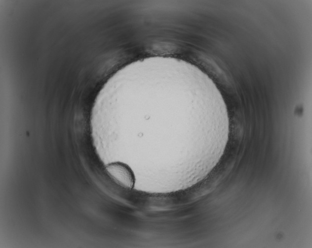 X0000101680371200808071115