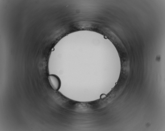 X0000101680372200808071115