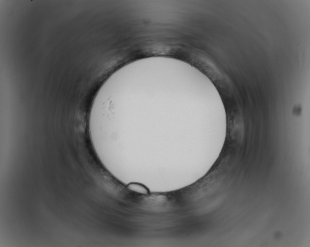 X0000101680374200808071115