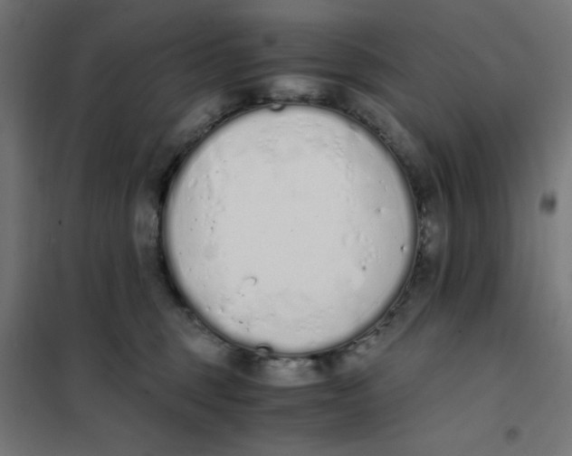 X0000101680375200808071115