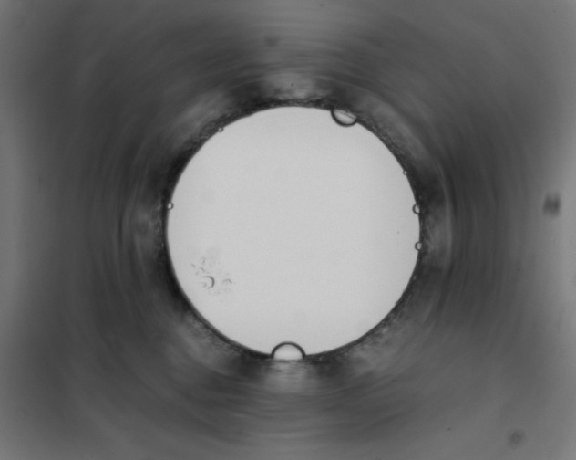 X0000101680376200808071115