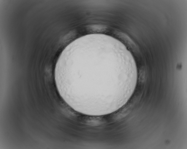 X0000101680377200808071115