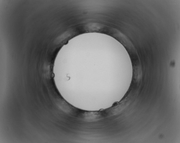 X0000101680378200808071115