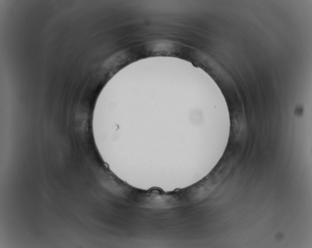 X0000101680379200808071115