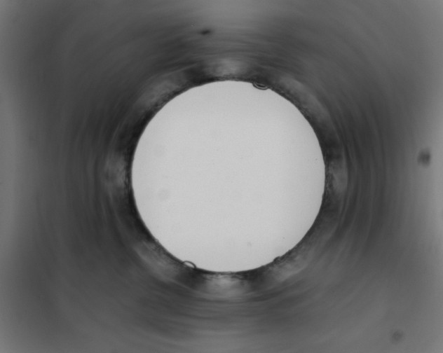 X0000101680380200808071115