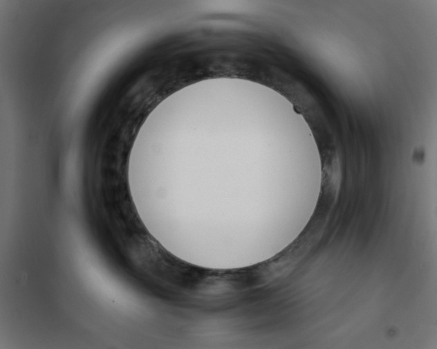 X0000101680381200808071115