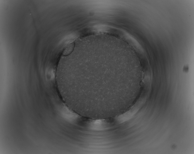 X0000101680382200808071115