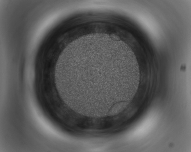 X0000101680383200808071115