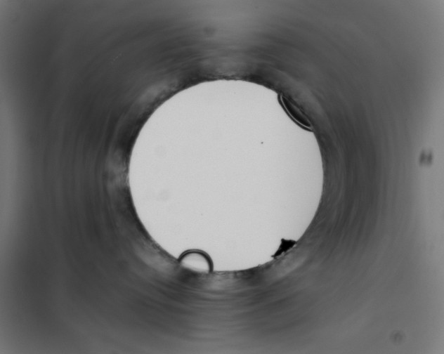 X0000101680384200808071115