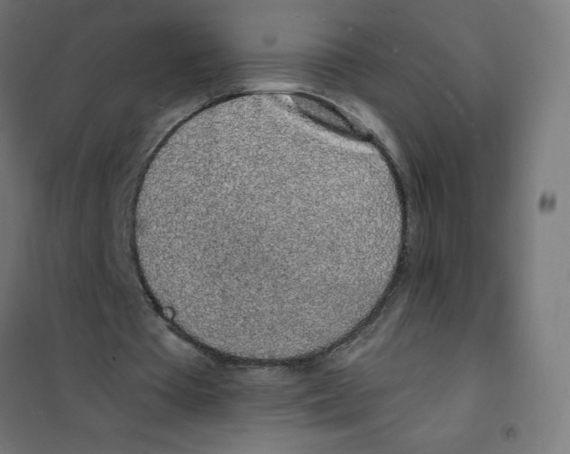 X0000101680385200808071114