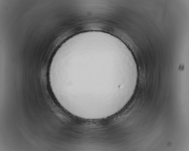 X0000101680386200808071114