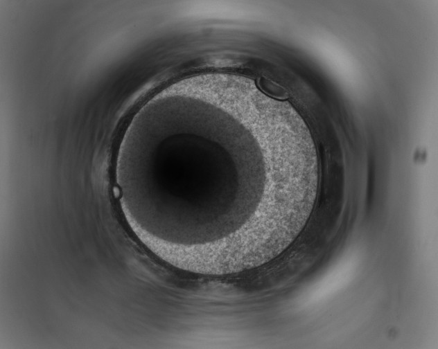 X0000101680387200808071114
