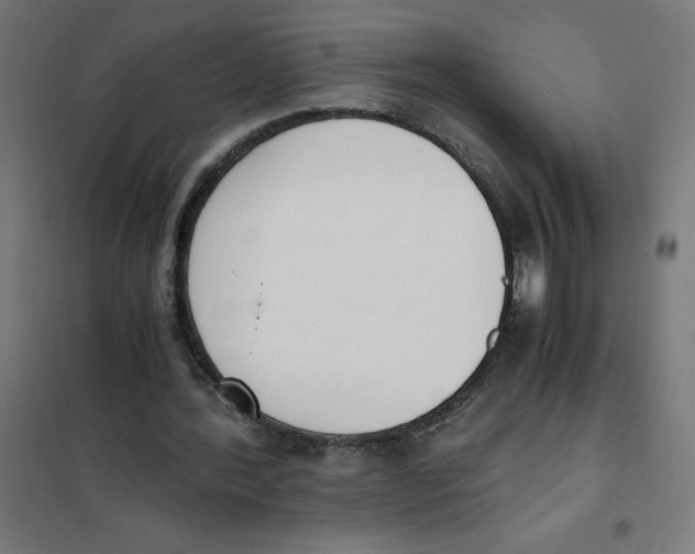 X0000101680388200808071114