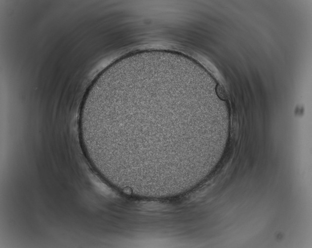 X0000101680389200808071114