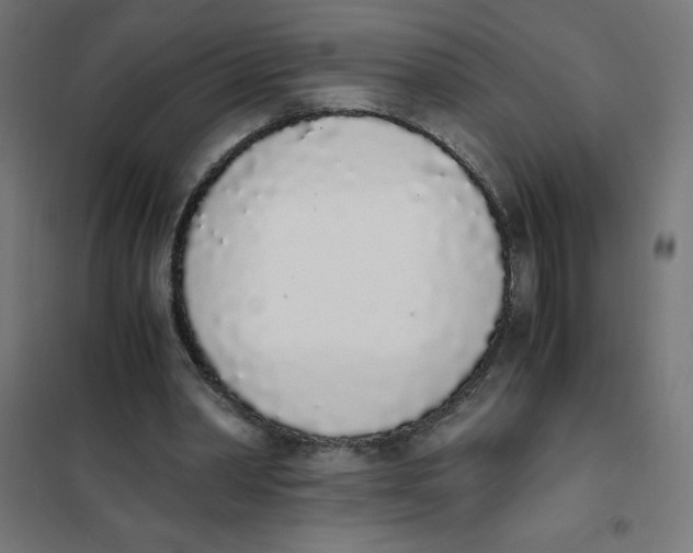 X0000101680390200808071114