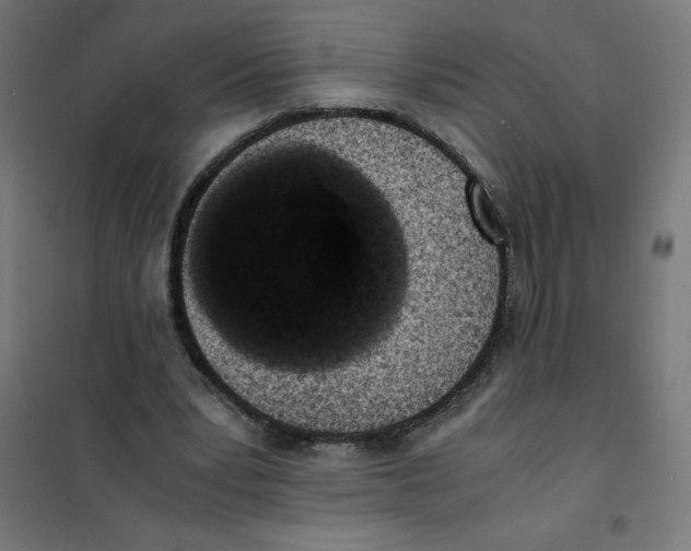 X0000101680391200808071114