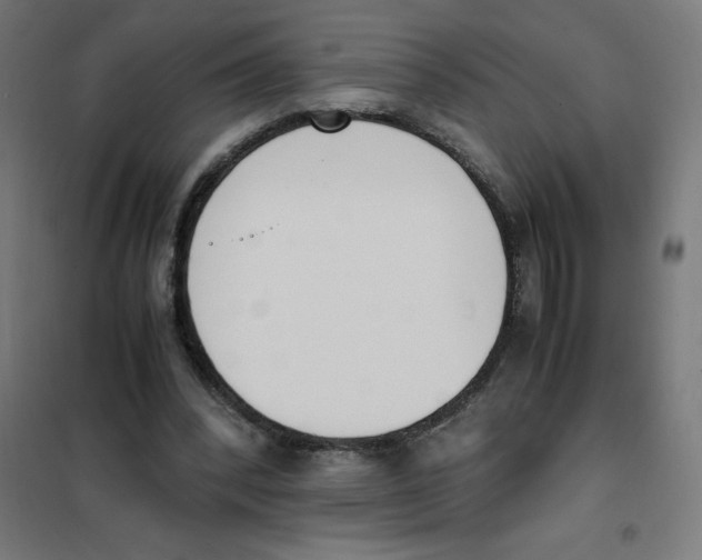 X0000101680392200808071114