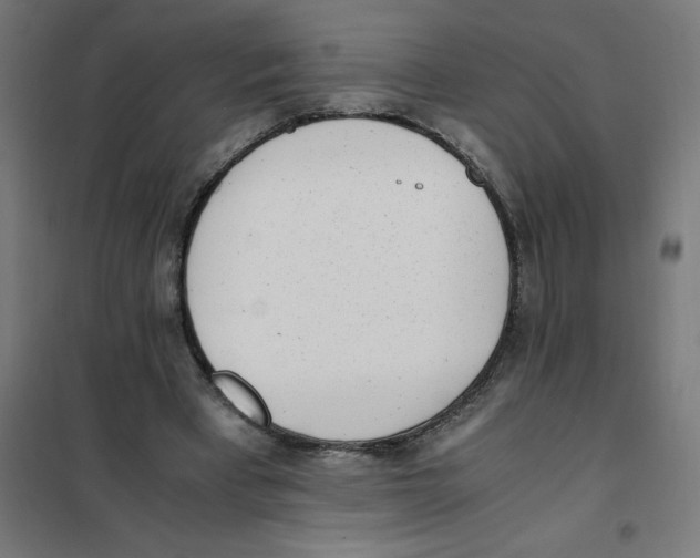 X0000101680393200808071114