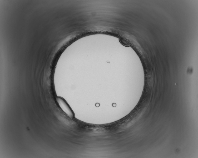 X0000101680395200808071114