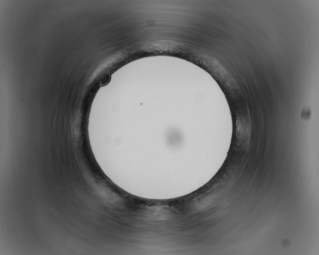 X0000101680396200808071114