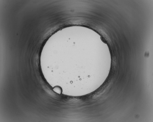 X0000101680397200808071114