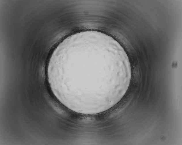 X0000101680398200808071114