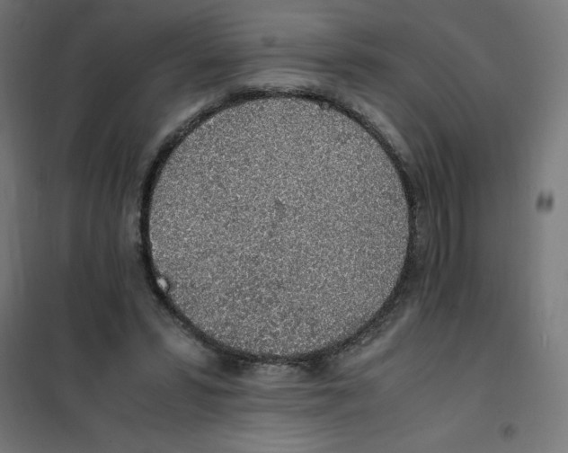 X0000101680399200808071114