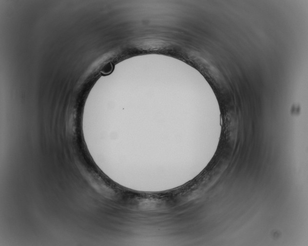 X0000101680400200808071114